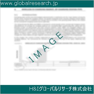 グローバルリサーチ調査資料のイメージ